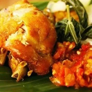 Foto Ayam Kosek Pedaging